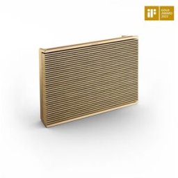 Bang & Olufsen Beosound LEVEL Gold tone