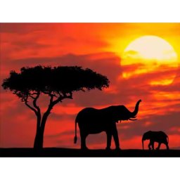 Gaira® Malování podle čísel Afrika M2303