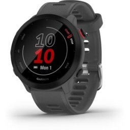 Garmin Forerunner 55 Monterra Grey