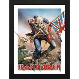 obraz IRON MAIDEN - Trooper Eddie - GBYDCO299