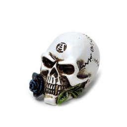 dekorace ALCHEMY GOTHIC - Alchemist Skull - VM6