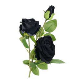 dekorace ALCHEMY GOTHIC - Black Rose - ROSE8