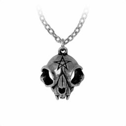 obojek ALCHEMY GOTHIC - Forever My Friend - P938