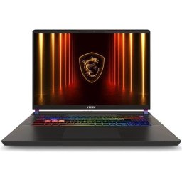 MSI Vector A16 HX (A8WHG-016XCZ)