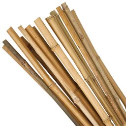Slovakia Trend Opěrná tyč k rostlinám 8-10x600 mm Garden KBT bambus, 10 ks 2210172