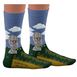 ponožky Pink Floyd - Division Bell - SOCK AFFAIRS - SS-PF-Division-Bell-Socks