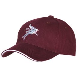 FOSTEX čepice baseball PEGASUS VÍNOVÁ