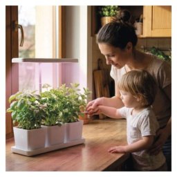 EMOS Z7904 LED GROW pěstební lampa 7 W, časovač, stmívatelná