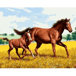 Gaira® Malování podle čísel Klisna a hříbě M1288