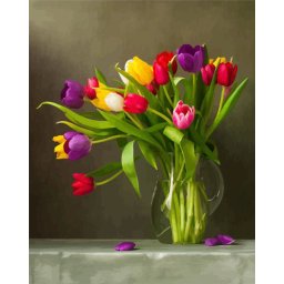 Gaira® Malování podle čísel Tulipány M992010