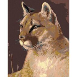 Diamondi - Diamantové malování - PUMA, 40x50 cm, Vypnuté plátno na rám