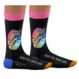 ponožky Pink Floyd - Wish You Were Here - SOCK AFFAIRS - SS-PF-Wish-You-Socks