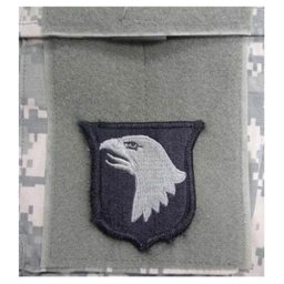 MILITARY RANGE nášivka 101st AIRBORNE DIVISION VELCRO - FOLIAGE