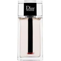 Christian Dior Dior Homme Sport EdT 125 ml