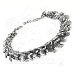 náramek Vertebrea - ALCHEMY GOTHIC - A29
