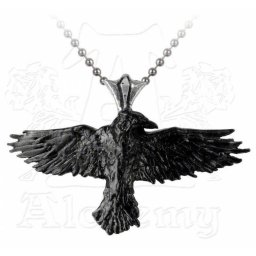 obojek ALCHEMY GOTHIC - Black Raven - P193
