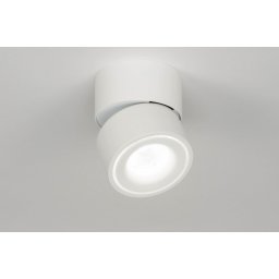 Stropní bodové bílé LED svítidlo Paul Flex White X