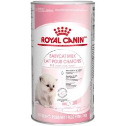 Mléko pro koťata Royal Canin Babycat 300 g