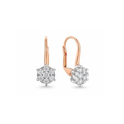 Briliantové náušnice z kombinovaného zlata 0.450 ct IZBR898RN