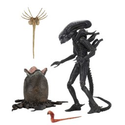 figurka Alien - 1979 - 40th Anniversary Big Chap - NECA51646
