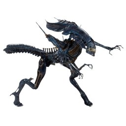 dekorace (figurka) Alien - Ultra Deluxe Action Figure Xenomorph Queen - NECA51385