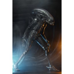 figurka Alien - 1979 - 40th Anniversary Big Chap - NECA51598