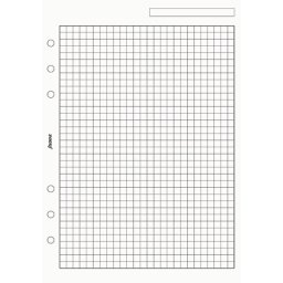 Filofax A5 čtverečkovaný papír 25 listů
