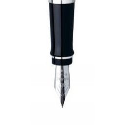 Waterman hrot Expert CT 1507/9010195 - F (slabý)