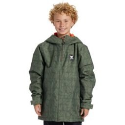 DCShoe BASIS PRINT YOUTH STANDARDS M
