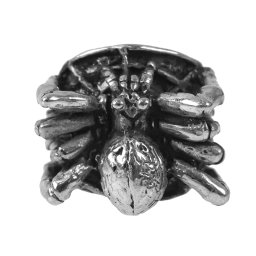 prsten Gothic Spider - SS8-1137R