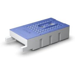 Epson T619300