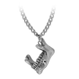 náhrdelník s přívěskem ALCHEMY GOTHIC - Nihility - P1023