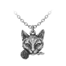 náhrdelník s přívěskem ALCHEMY GOTHIC - Pendle Hill Imp - P1022
