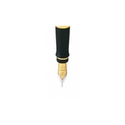 Waterman hrot Expert GT 1507/9096857