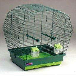 COBBYS PET IZABELLA klec pro exoty 57,5x33,5x55cm