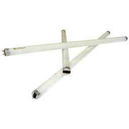 PACIFIC Zářivka 36W / T8 bílá 120cm