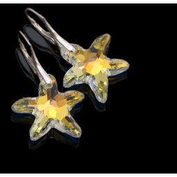 Stříbrné náušnice Starfish AB