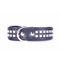 COBBYS PET obojek Zircon 20mm/30cm
