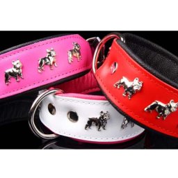 COBBYS PET Obojek Super French Bulldog 40mm/50cm