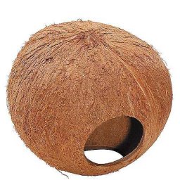 EBI Domeček z kokosového ořechu s průměrem 13cm