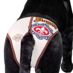EBI D&D hárací kalhotky 240 x 310 mm S Doggy se 4 vložkami