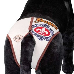 EBI D&D hárací kalhotky 320 x 390 mm M Doggy se 4 vložkami