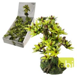 EBI DECO AQUA DELLA BONSAI MINI SORT C /9,5cm/