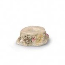 EBI AQUA DELLA CORAL REEF XXS 8,5x7,7x3,5cm, for 1 coral