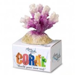 EBI AQUA DELLA CORAL MODULE S cauliflower coral white-purple 8,7x6,5x4,5cm