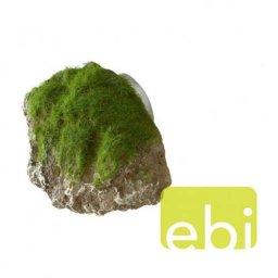 EBI AQUA DELLA MOSS STONE-XS- 9x6x6,5cm with suction cup