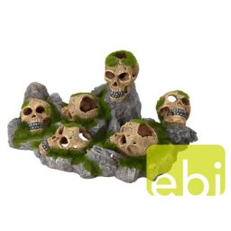 EBI AQUA DELLA SKULLS WORLD SMALL ca. 42,5x27,5x21cm