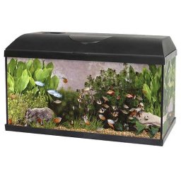 PACIFIC-60 akvárium 54l 60x30x30 s výbavou 1x15W Eco