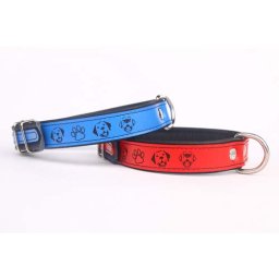 COBBYS PET Gravírovaný obojek Zlatý Retriever/Labrador Retriver 30mm/63cm