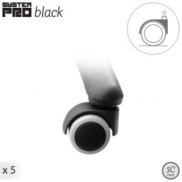 SYSTEM PRO LAB/BLACK 5C